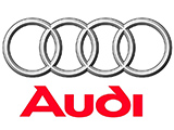 Номерные рамки Audi
